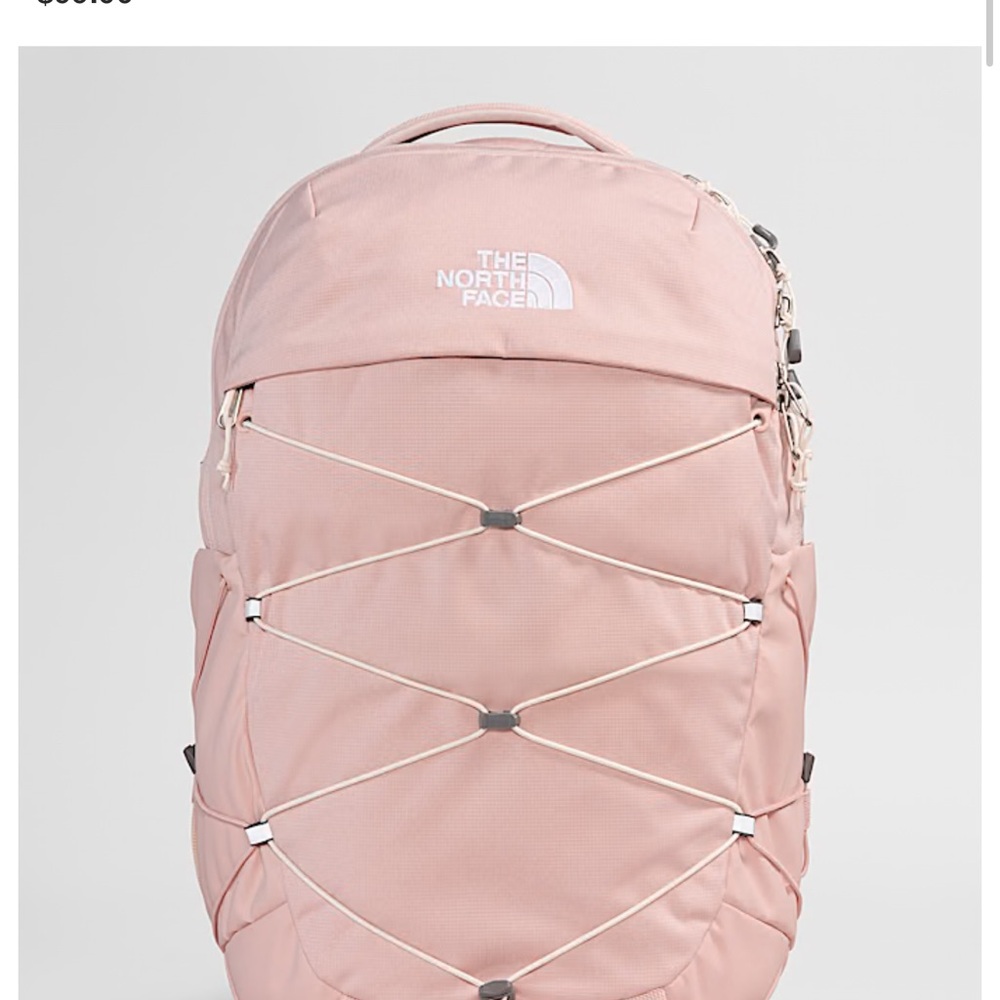 The North Face Blush Pink Backpack